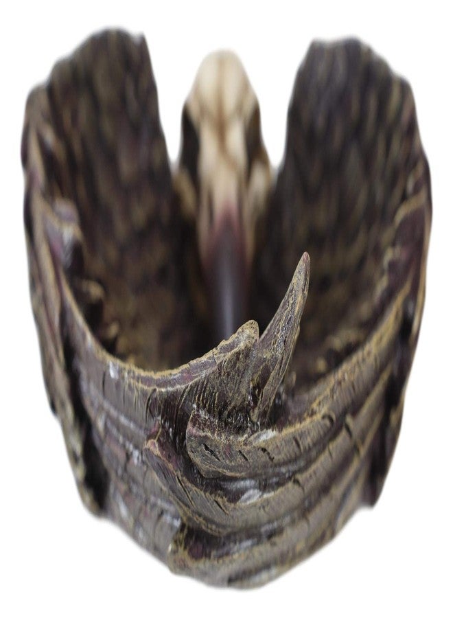 Ebros Gift Ebros Harbinger Of Doom Edgar Poe Gothic Winged Raven Skull Jewelry Coin Dish Tray Ashtray Figurine 6.75"L Ossuary Macabre Halloween Decor Sculpture - Image 3